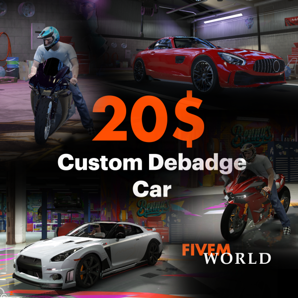 Custom Debadge Car